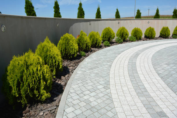 Best Driveway Paving Contractor  in Hauppauge, NY